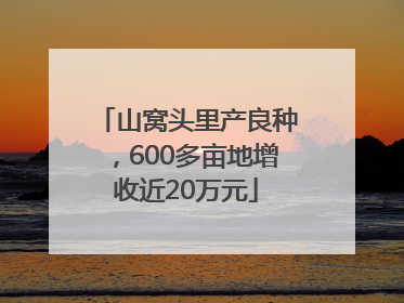山窝头里产良种，600多亩地增收近20万元