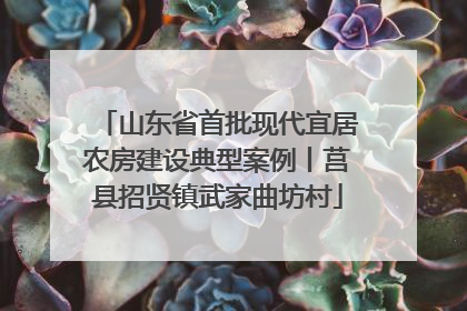 山东省首批现代宜居农房建设典型案例丨莒县招贤镇武家曲坊村