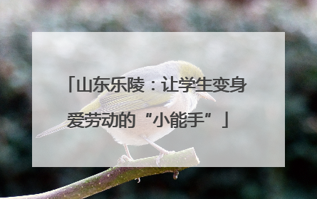 山东乐陵：让学生变身爱劳动的“小能手”