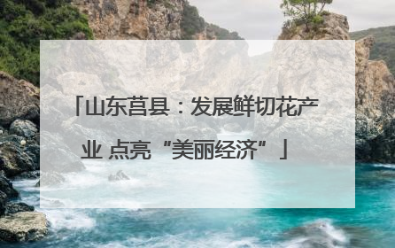 山东莒县：发展鲜切花产业 点亮“美丽经济”