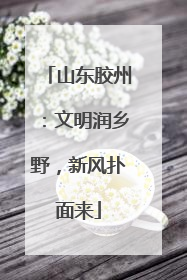 山东胶州：文明润乡野，新风扑面来