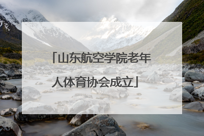 山东航空学院老年人体育协会成立
