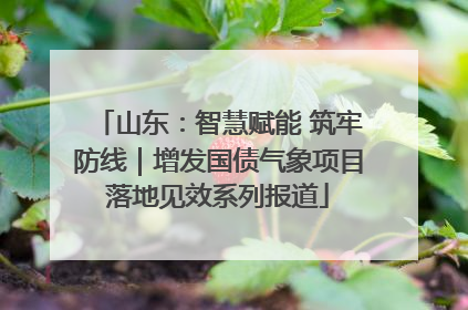 山东：智慧赋能 筑牢防线｜增发国债气象项目落地见效系列报道