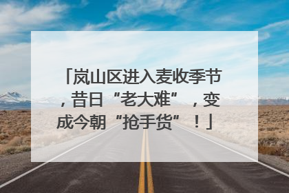 岚山区进入麦收季节，昔日“老大难”，变成今朝“抢手货”！