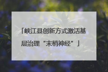 峡江县创新方式激活基层治理“末梢神经”