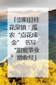 崇阳县桂花泉镇：瓜农“点花成金” 书写“甜蜜事业”增收经