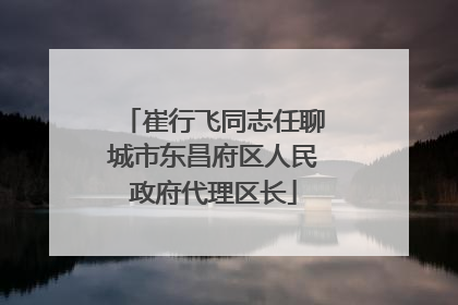 崔行飞同志任聊城市东昌府区人民政府代理区长