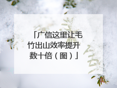 广信这里让毛竹出山效率提升数十倍（图）