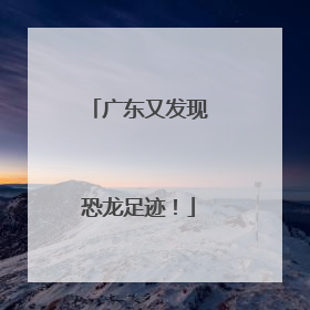 广东又发现恐龙足迹！