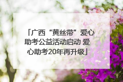 广西“黄丝带”爱心助考公益活动启动 爱心助考20年再升级