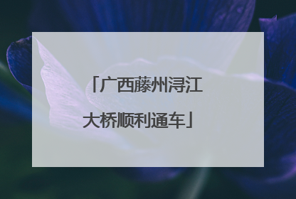 广西藤州浔江大桥顺利通车