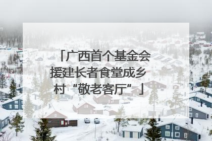 广西首个基金会援建长者食堂成乡村“敬老客厅”