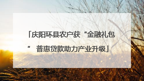 庆阳环县农户获“金融礼包” 普惠贷款助力产业升级