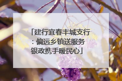 建行宜春丰城支行：偏远乡镇送服务 银政携手暖民心