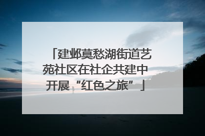 建邺莫愁湖街道艺苑社区在社企共建中开展“红色之旅”