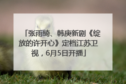 张雨绮、韩庚新剧《绽放的许开心》定档江苏卫视，6月5日开播
