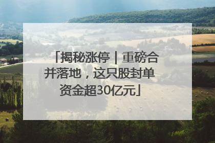 揭秘涨停｜重磅合并落地，这只股封单资金超30亿元