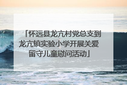 怀远县龙亢村党总支到龙亢镇实验小学开展关爱留守儿童慰问活动