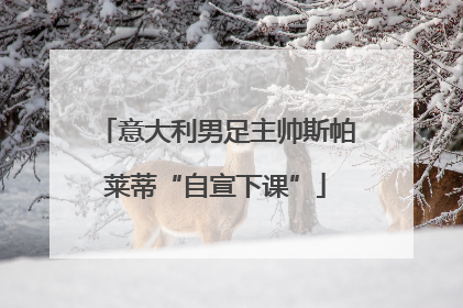 意大利男足主帅斯帕莱蒂“自宣下课”
