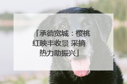 承德宽城：樱桃红映丰收景 采摘热力助振兴