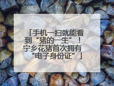 手机一扫就能看到“猪的一生”！宁乡花猪首次拥有“电子身份证”