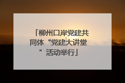 柳州口岸党建共同体“党建大讲堂”活动举行