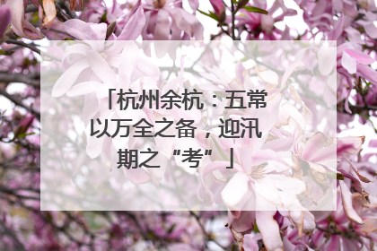 杭州余杭：五常以万全之备，迎汛期之“考”