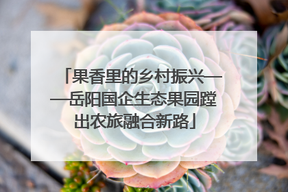 果香里的乡村振兴——岳阳国企生态果园蹚出农旅融合新路