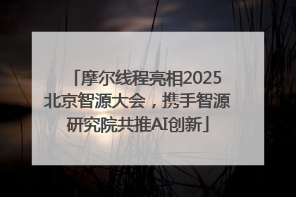 摩尔线程亮相2025北京智源大会，携手智源研究院共推AI创新
