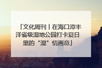 文化周刊丨在海口潭丰洋省级湿地公园打卡夏日里的“湿”情画意