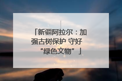 新疆阿拉尔：加强古树保护 守好“绿色文物”
