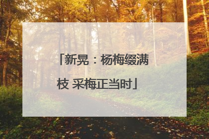 新晃：杨梅缀满枝 采梅正当时