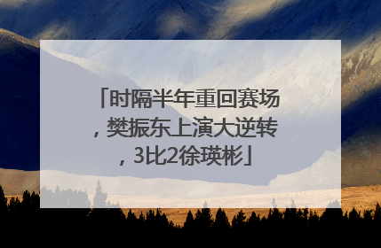 时隔半年重回赛场，樊振东上演大逆转，3比2徐瑛彬