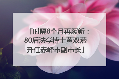时隔8个月再履新：80后法学博士黄双燕升任赤峰市副市长