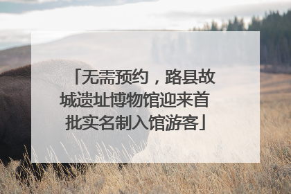 无需预约，路县故城遗址博物馆迎来首批实名制入馆游客