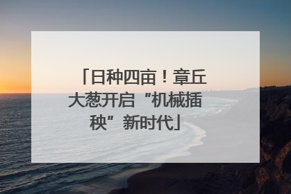 日种四亩！章丘大葱开启“机械插秧”新时代