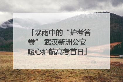 暴雨中的“护考答卷” 武汉新洲公安暖心护航高考首日
