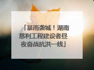 暴雨袭城！湖南慈利工程建设者昼夜奋战抗洪一线