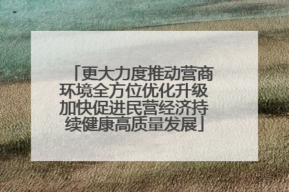 更大力度推动营商环境全方位优化升级加快促进民营经济持续健康高质量发展