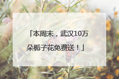 本周末，武汉10万朵栀子花免费送！
