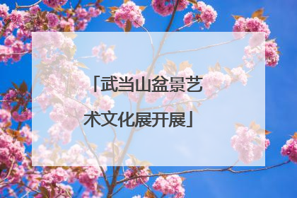 武当山盆景艺术文化展开展