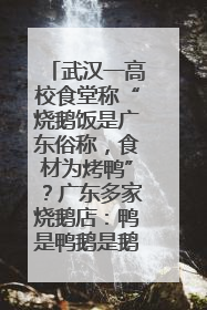武汉一高校食堂称“烧鹅饭是广东俗称，食材为烤鸭”？广东多家烧鹅店：鸭是鸭鹅是鹅