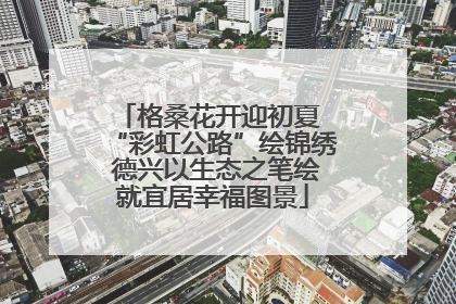 格桑花开迎初夏 “彩虹公路”绘锦绣 德兴以生态之笔绘就宜居幸福图景