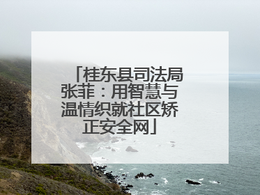 桂东县司法局张菲：用智慧与温情织就社区矫正安全网