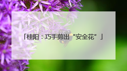 桂阳：巧手剪出“安全花”