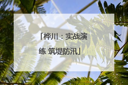 桦川：实战演练 筑堤防汛