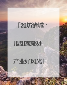 潍坊诸城：瓜甜葱郁处 产业好风光