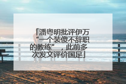 潘粤明批评伊万“一个装傻不辞职的教练”，此前多次发文评价国足