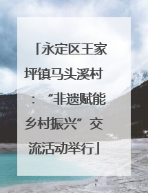 永定区王家坪镇马头溪村：“非遗赋能乡村振兴”交流活动举行