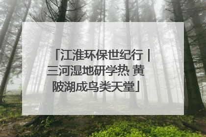 江淮环保世纪行｜三河湿地研学热 黄陂湖成鸟类天堂